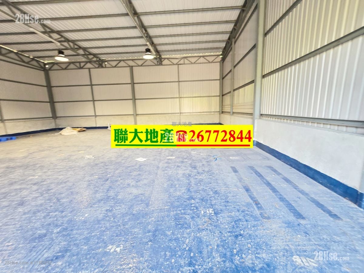 土地 租盘 1,800 平方尺