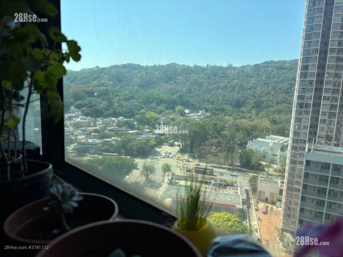 牵晴间 售盘 3 房 , 2 浴室 573 平方尺