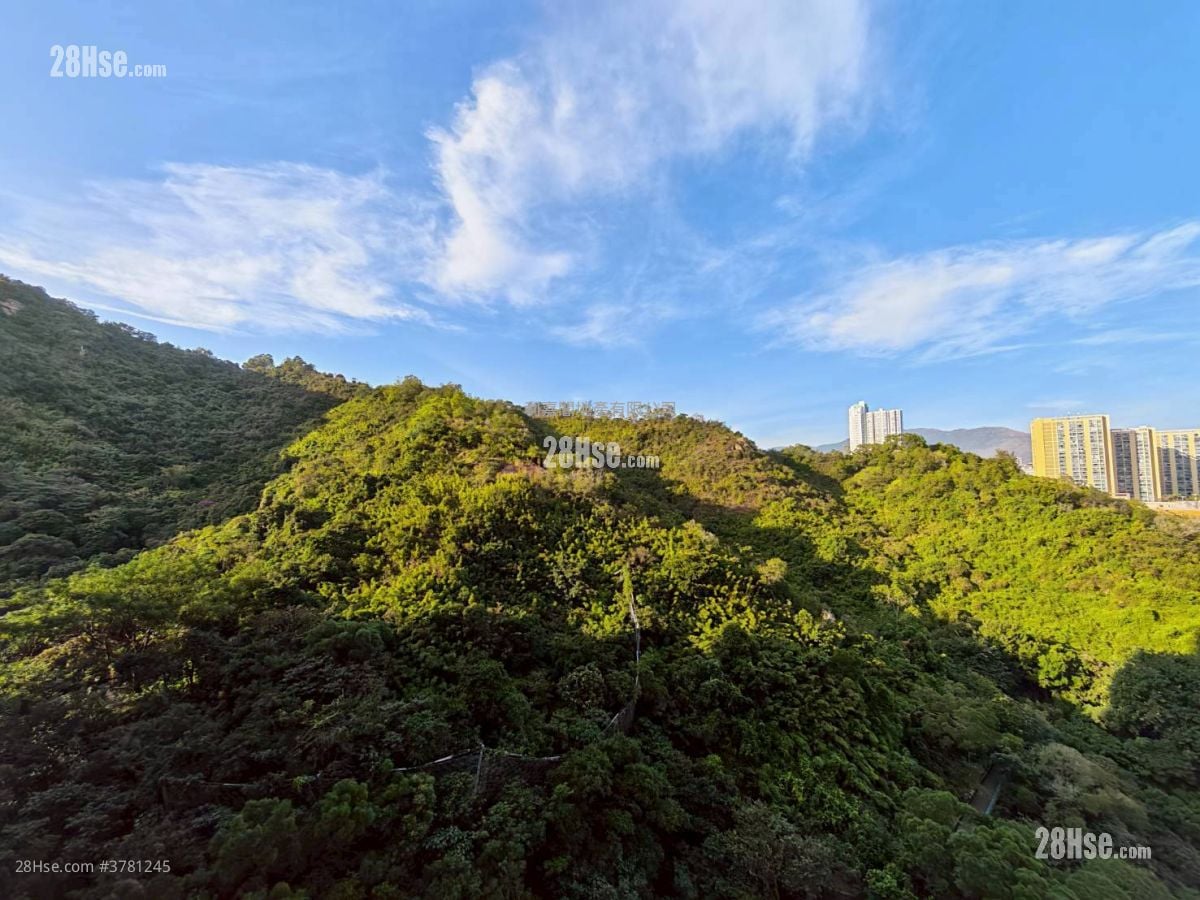 The Grand Marine Rental 1 Bedroom , 1 Bathroom 299 ft²