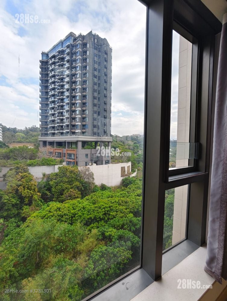 Napa Rental 542 ft²