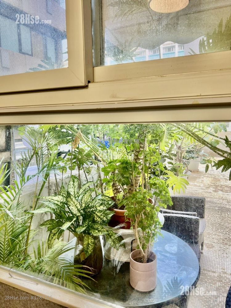 嘉洋大厦 售盘 278 平方尺