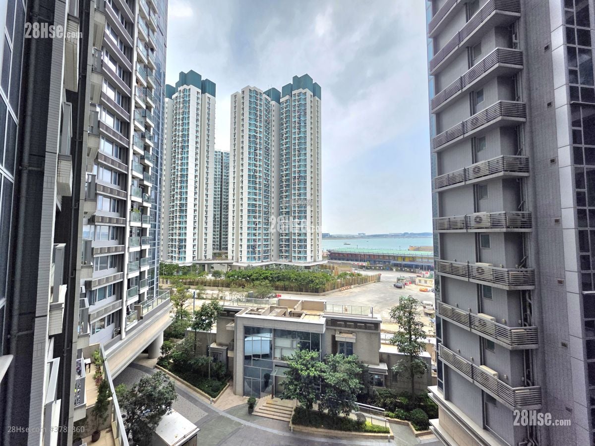 Century Link Rental 2 Bedrooms , 1 Bathroom 484 ft²