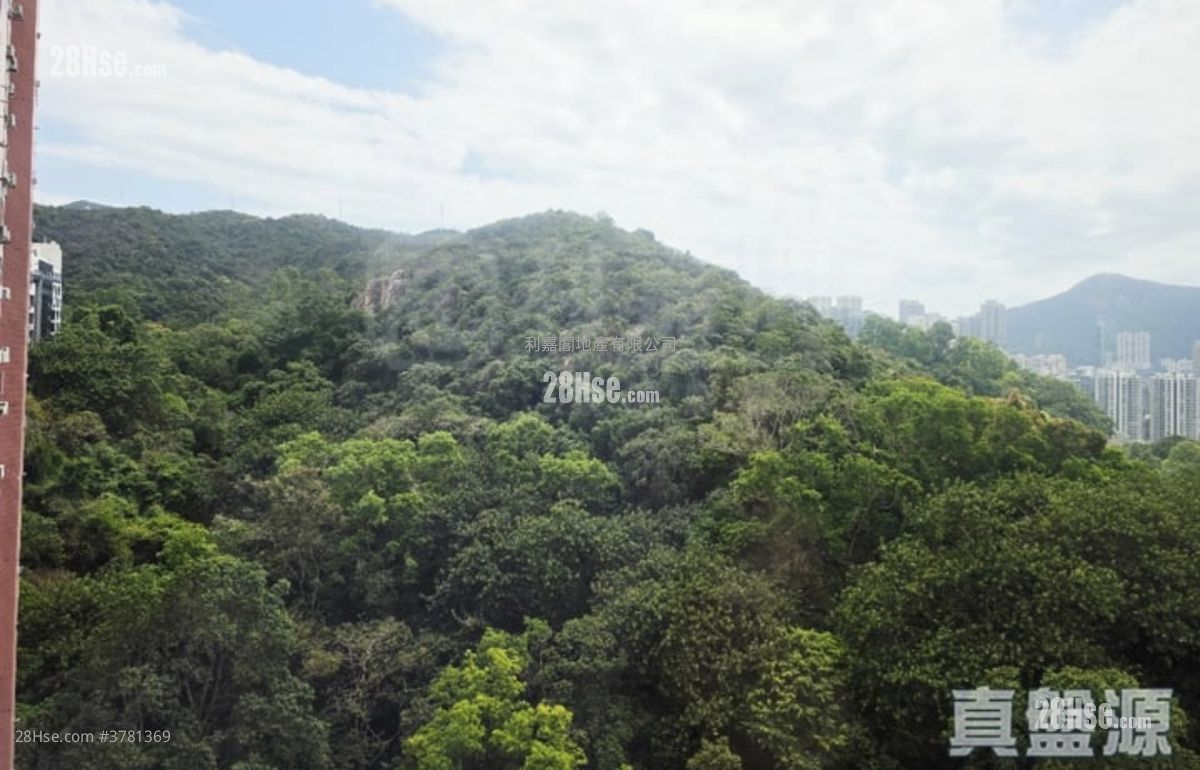 云景台 售盘 3 房 1,065 平方尺