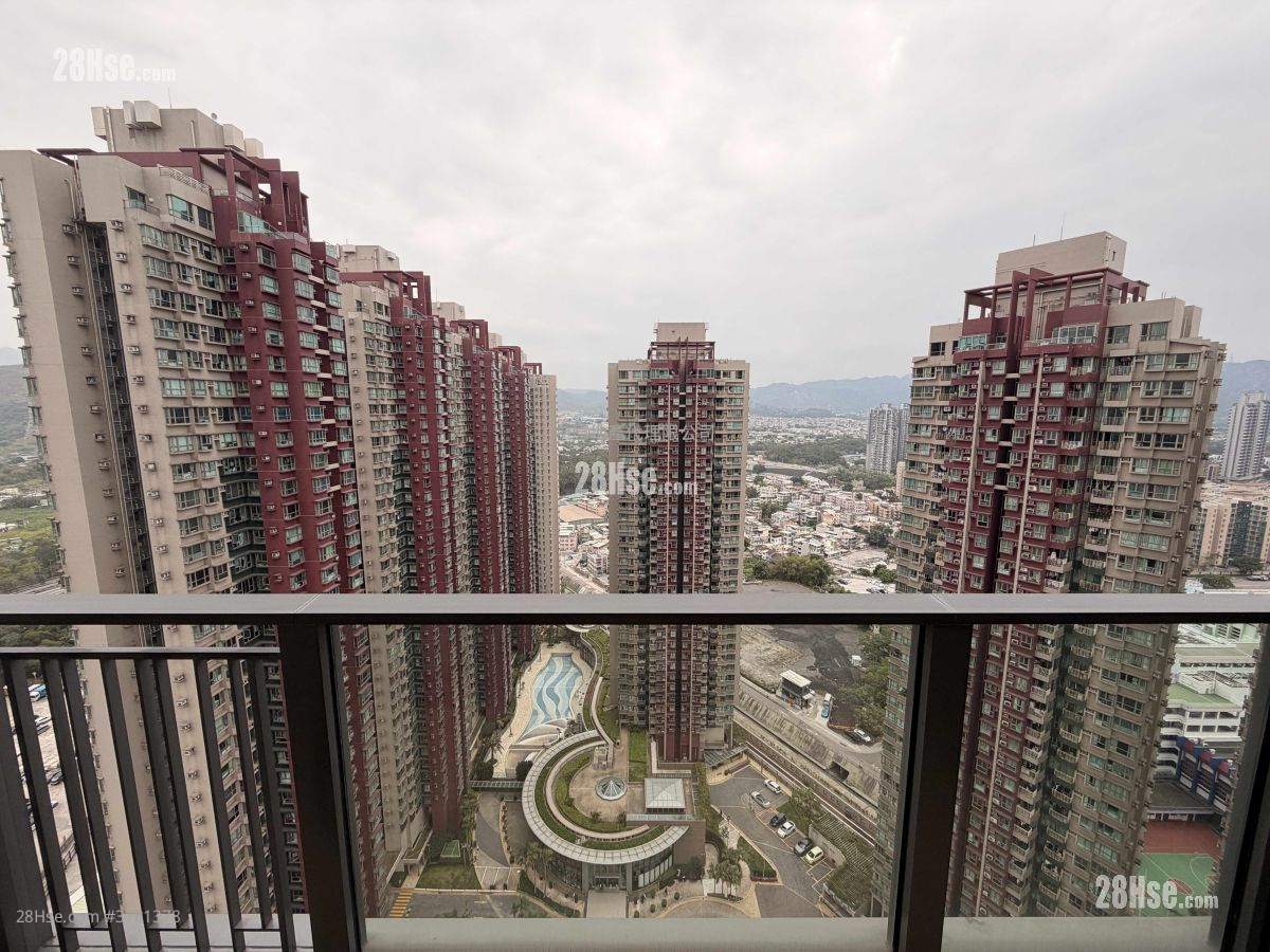 景观: 露台景观