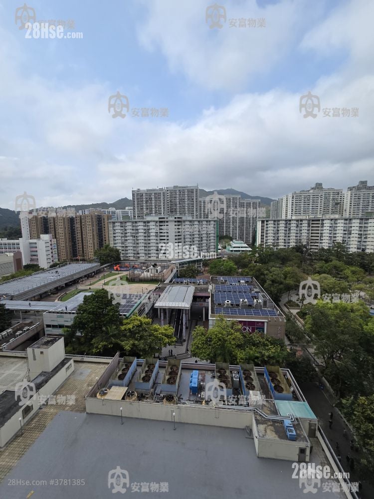 Jade Plaza Sell 1 Bedroom , 1 Bathroom 262 ft²