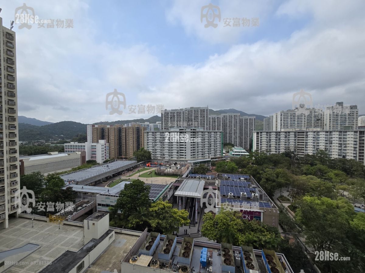 Jade Plaza Sell 1 Bedroom , 1 Bathroom 262 ft²
