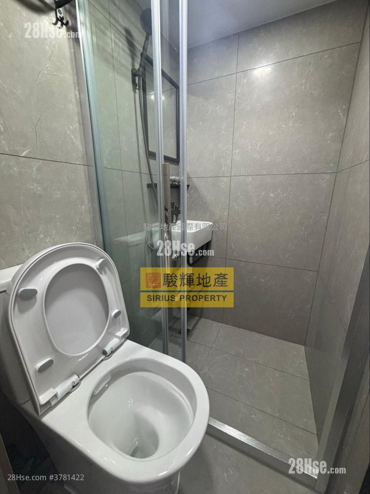 Pollock Building Rental 1 Bedroom , 1 Bathroom 180 ft²