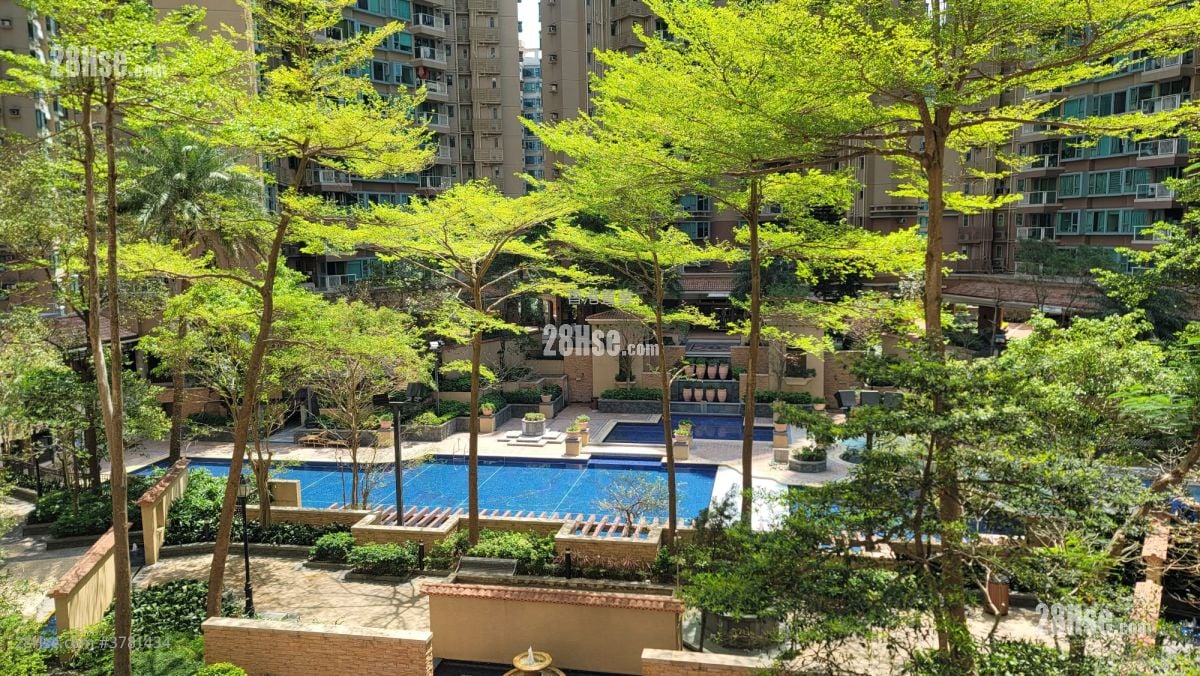 珀丽湾 租盘 2 房 , 1 浴室 507 平方尺