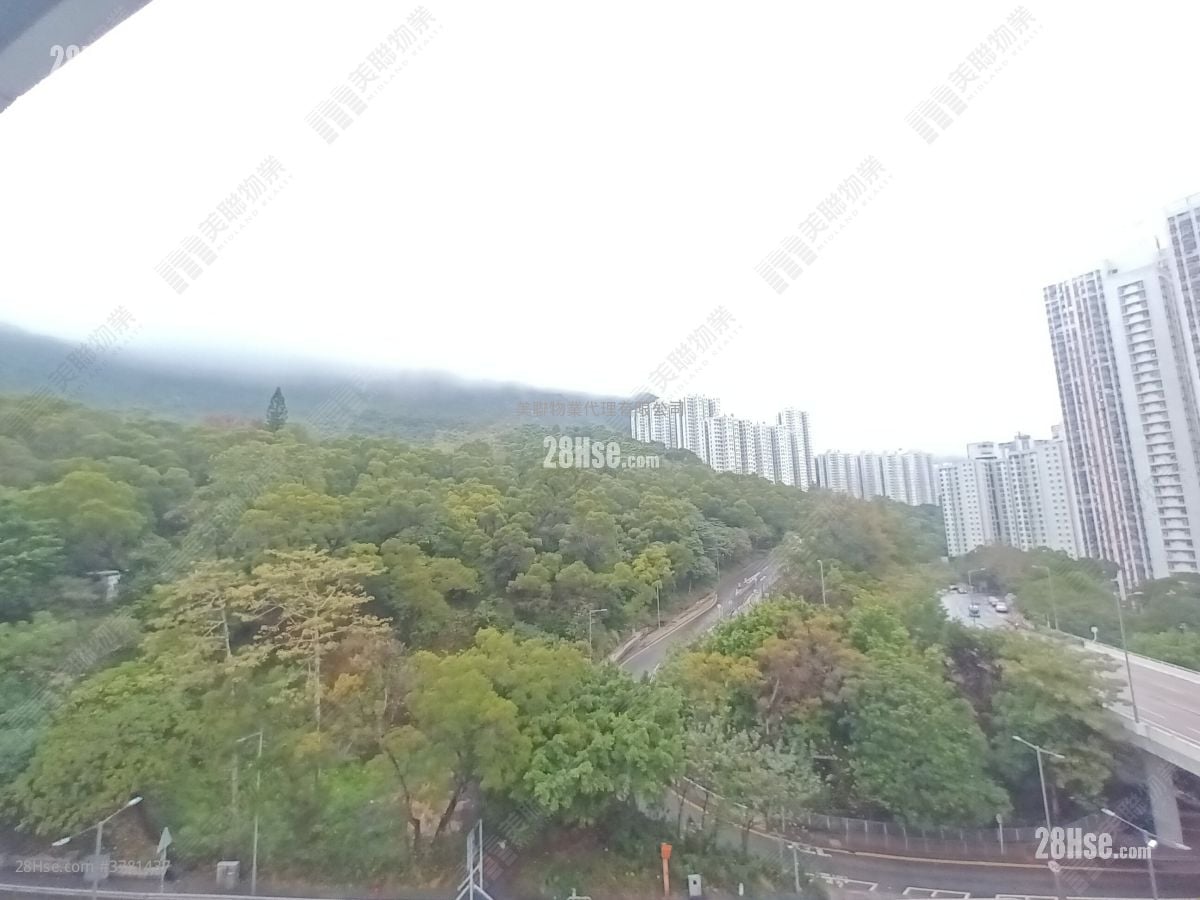 Meridian Hill Rental 4 Bedrooms , 3 Bathrooms 1,603 ft²