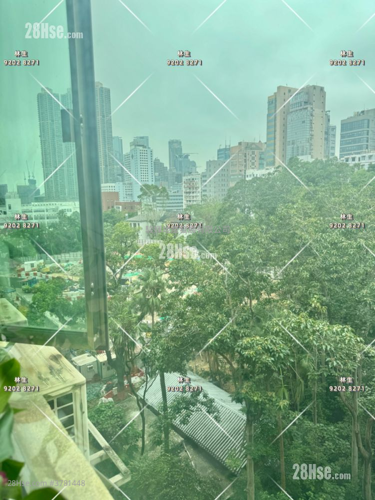 乐福大厦 售盘 2 房 , 1 浴室 447 平方尺