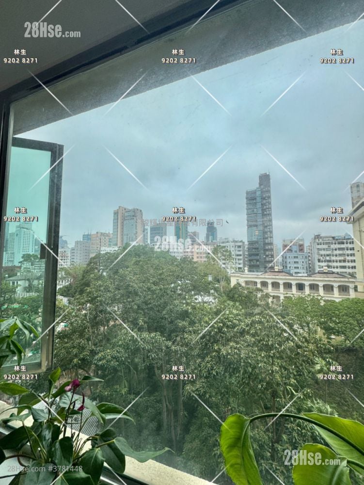 乐福大厦 售盘 2 房 , 1 浴室 447 平方尺