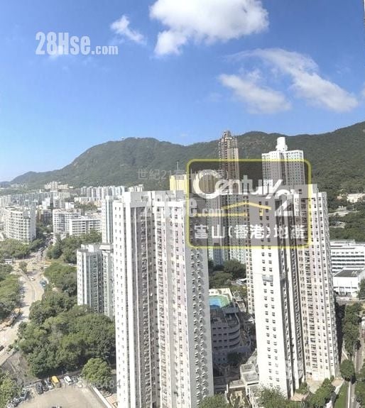 德强苑 售盘 3 房 , 1 浴室 574 平方尺