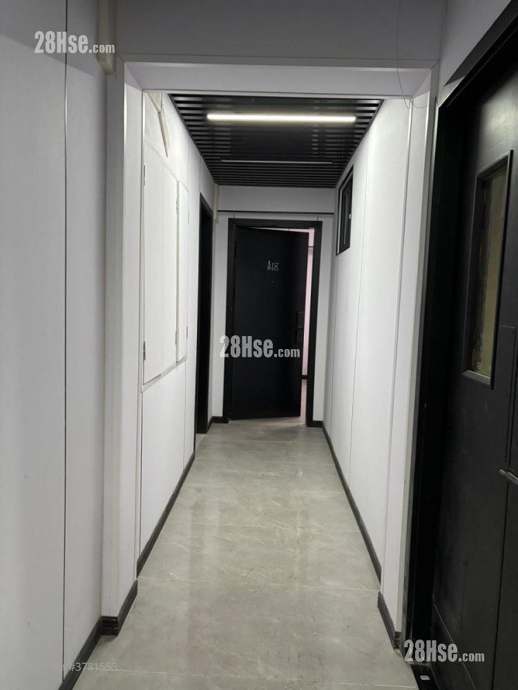 吴淞大楼 租盘 开放式间隔 , 1 浴室 150 平方尺