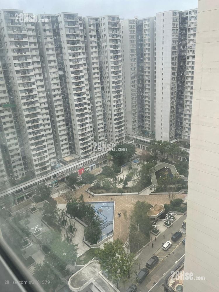 城市花园 售盘 568 平方尺