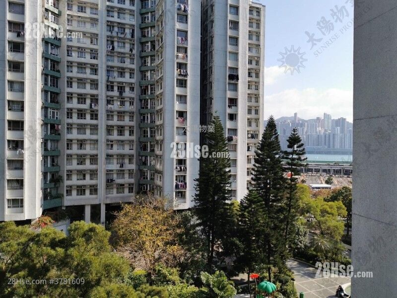 黄埔花园 租盘 3 房 728 平方尺