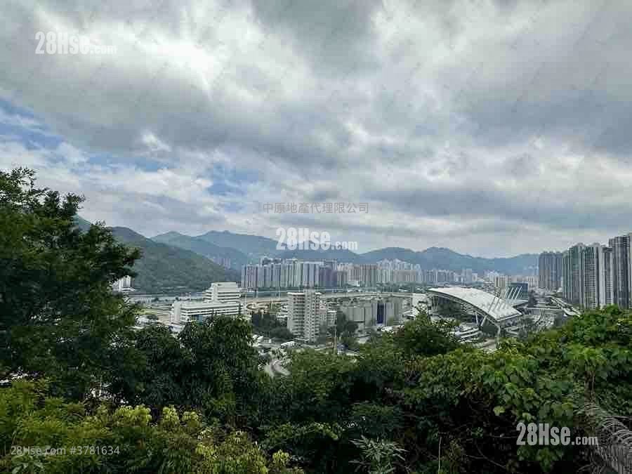Shatin Lookout Sell 5+ Bedrooms 2,796 ft²