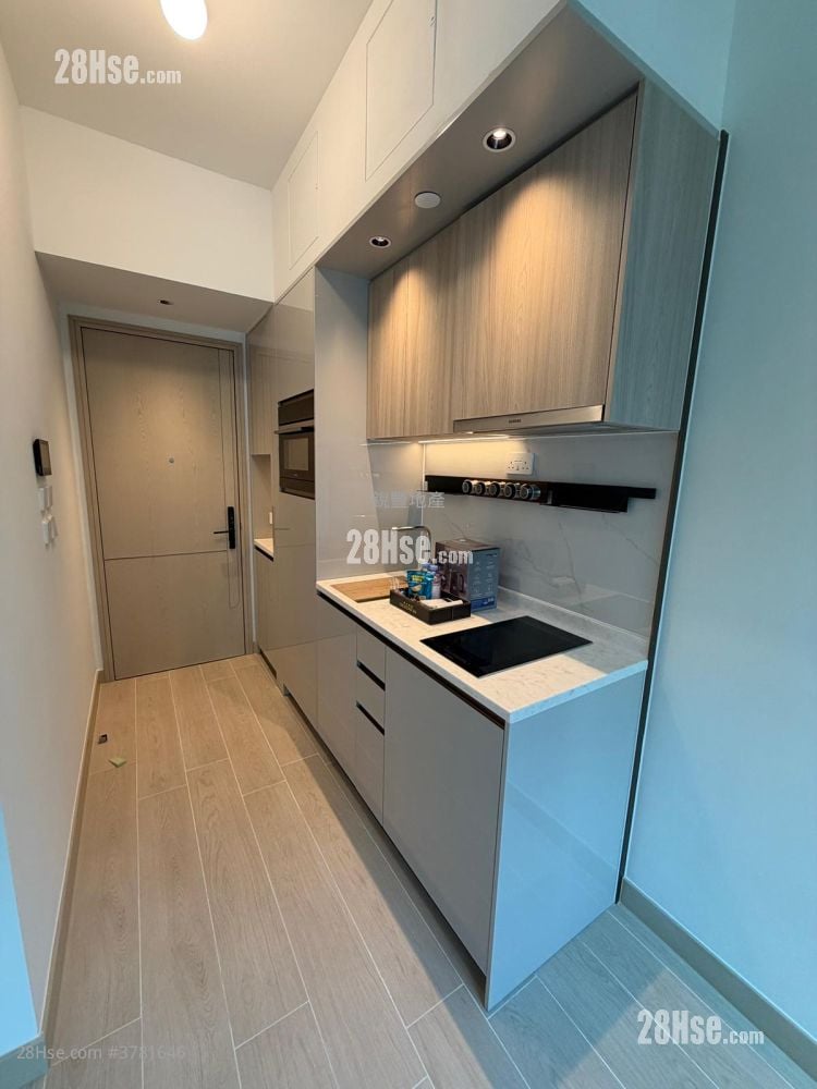 Gold Coast Bay Rental Studio , 1 Bathroom 204 ft²