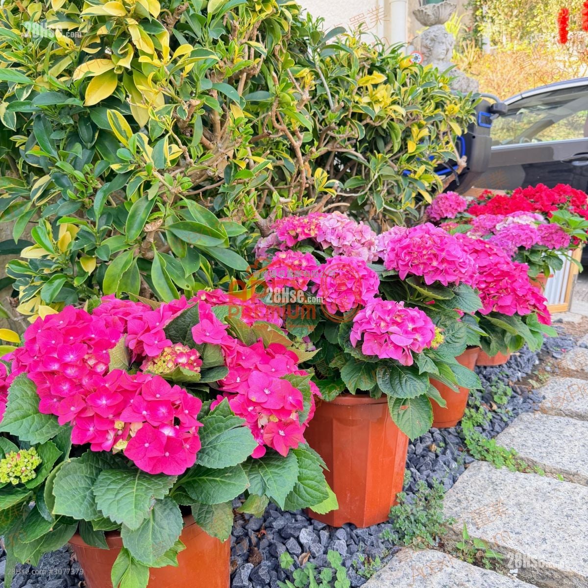 万宜山庄 租盘 5+ 房 , 2 浴室 2,100 平方尺