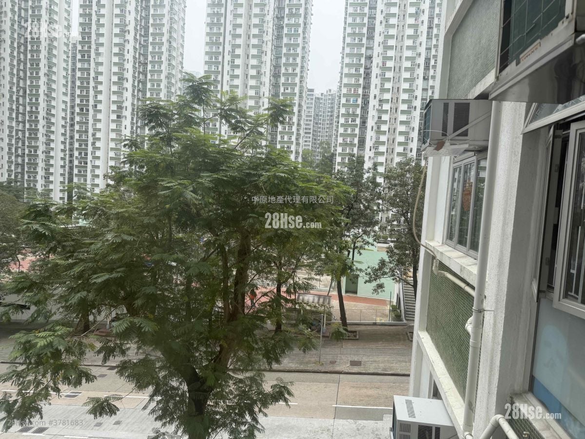 Nan Fung Sun Chuen Sell 3 Bedrooms 570 ft²