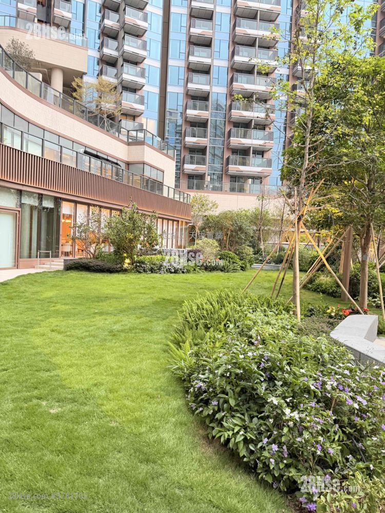 Gold Coast Bay Rental Studio , 1 Bathroom 208 ft²