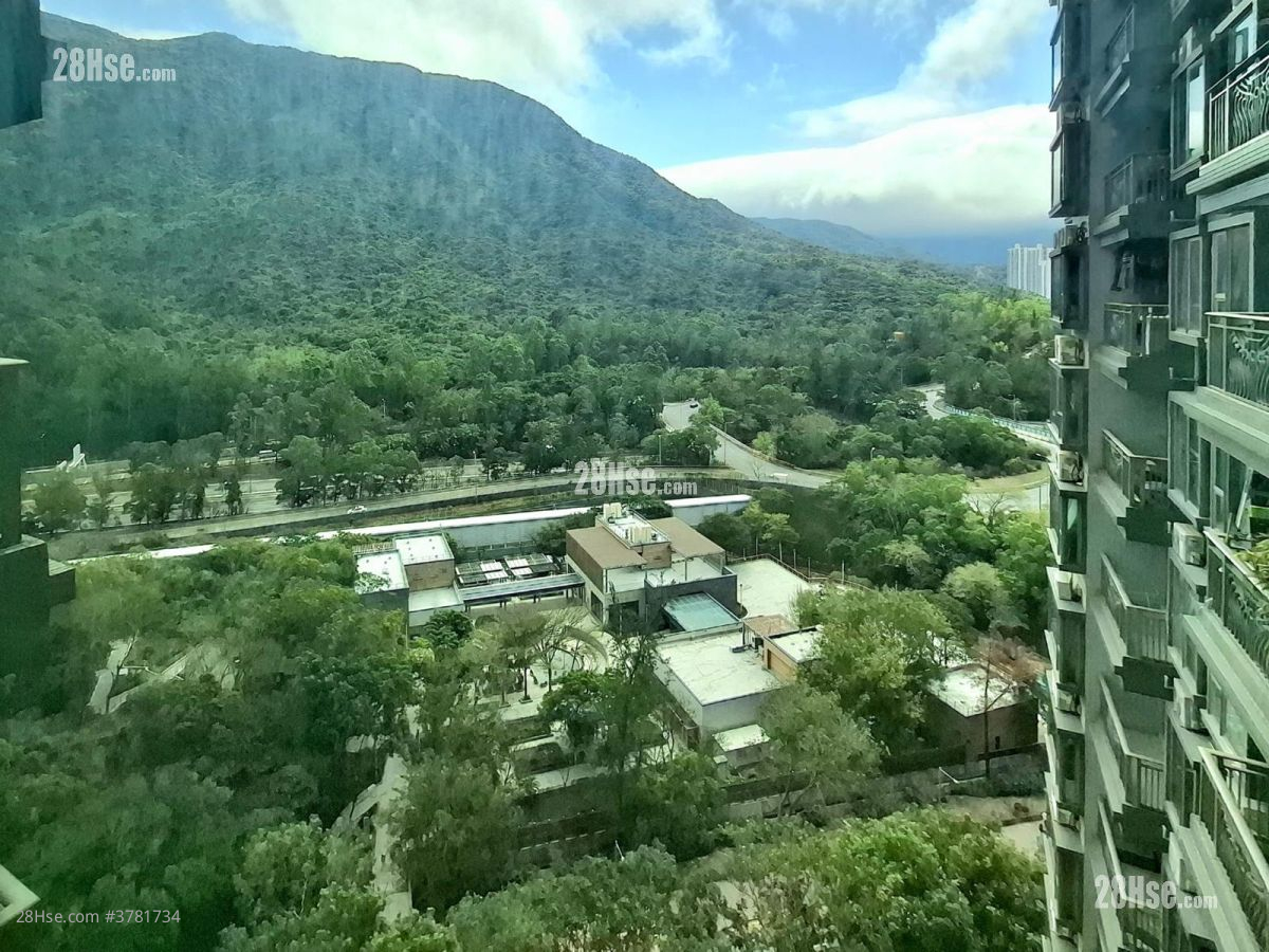 Caribbean Coast Rental 3 Bedrooms , 2 Bathrooms 757 ft²