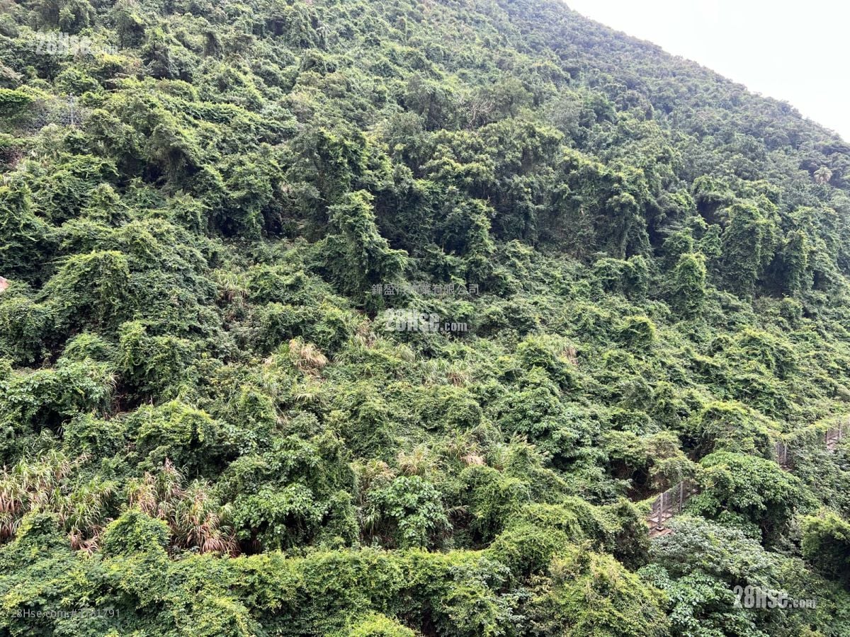 承德山庄 租盘 3 房 , 2 浴室 765 平方尺