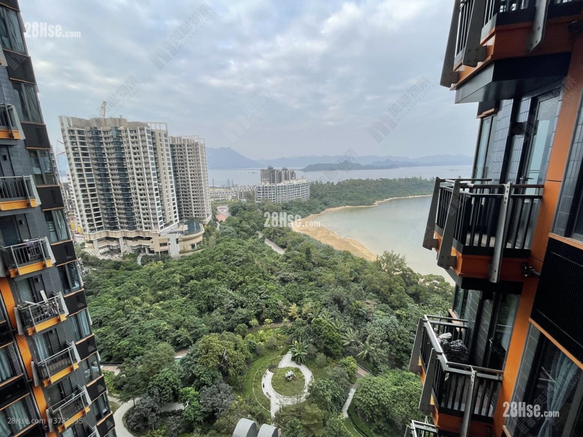 迎海 租盘 528 平方尺