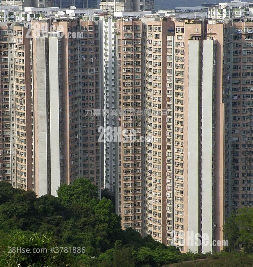 Mount Parker Lodge Sell 3 Bedrooms , 2 Bathrooms 556 ft²