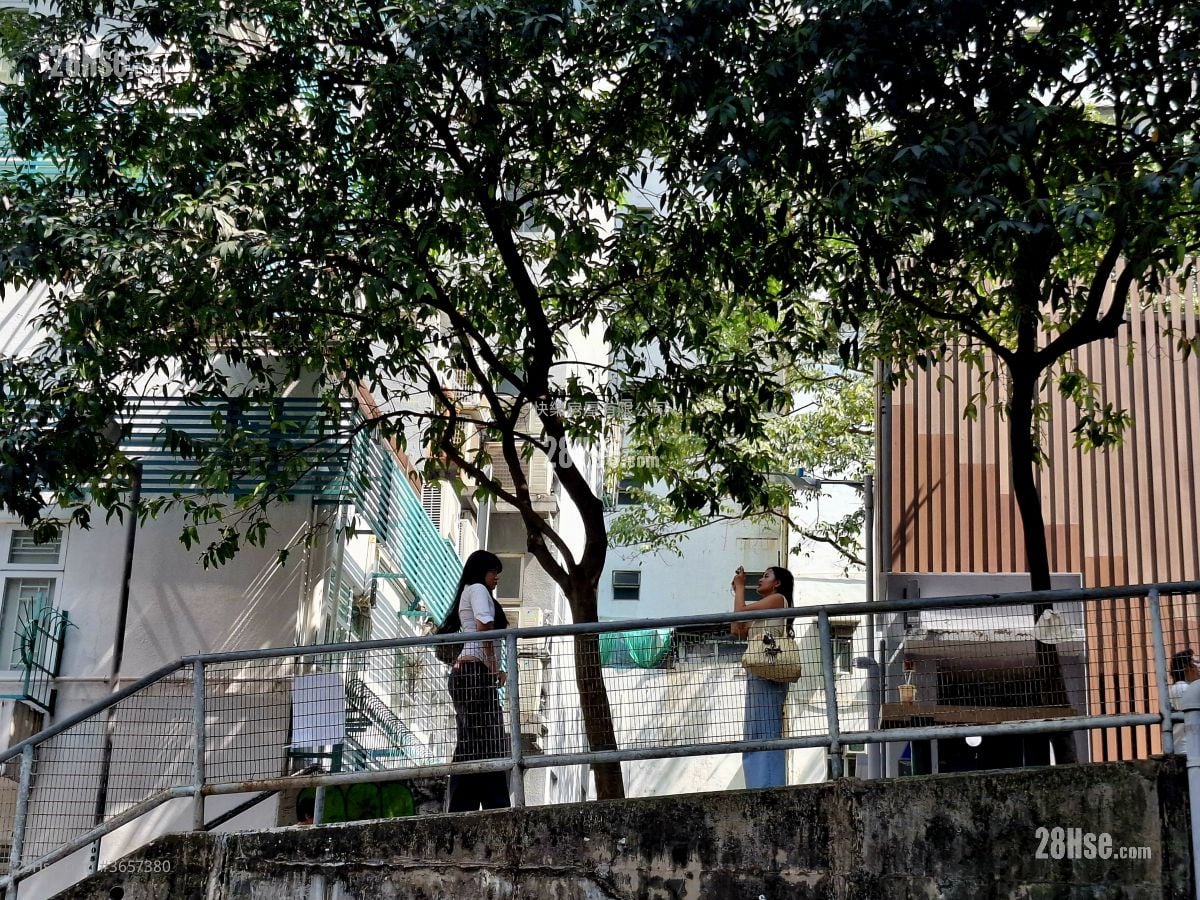 裕利大厦 租盘 1 房 , 1 浴室 269 平方尺