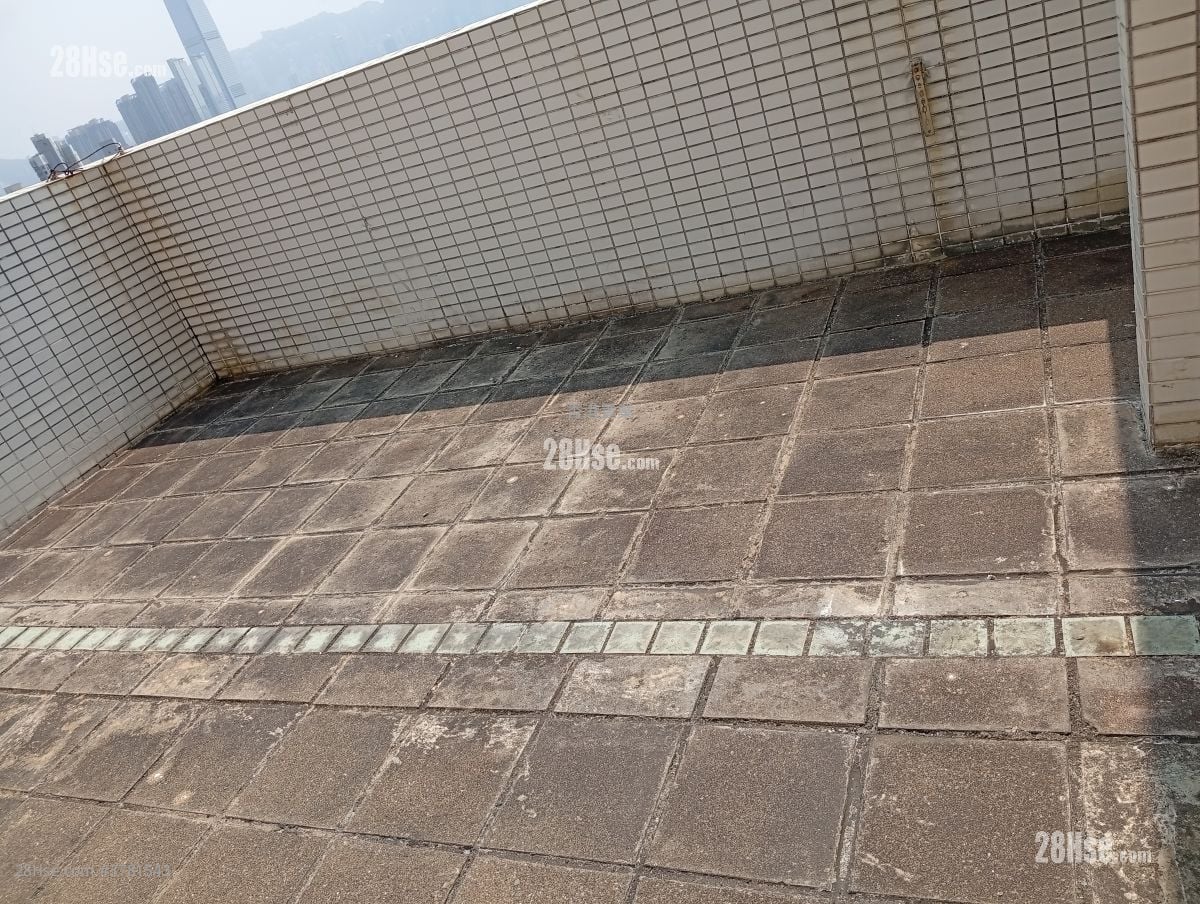 天台有此面积，用途就可自己发挥