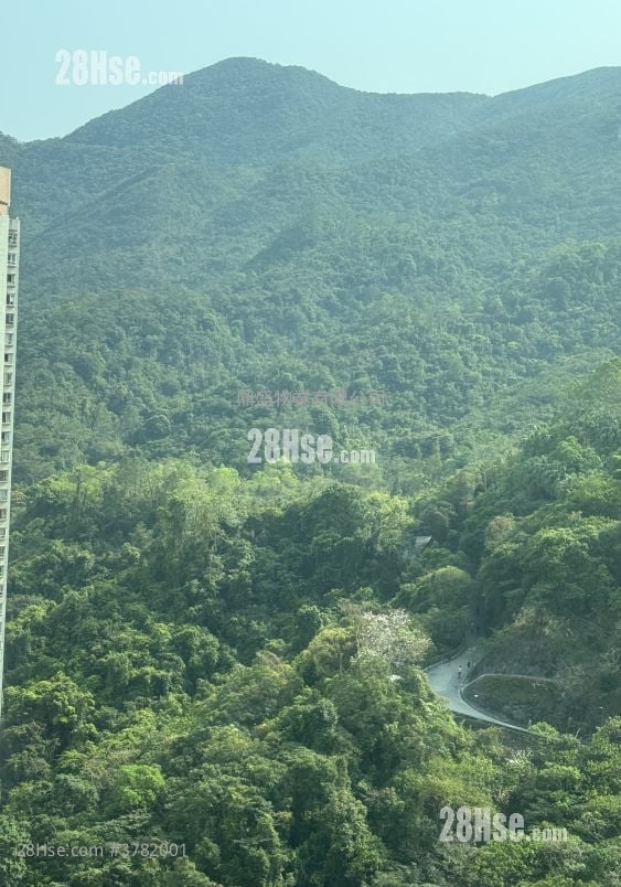 Kornville Rental 3 Bedrooms , 1 Bathroom 538 ft²