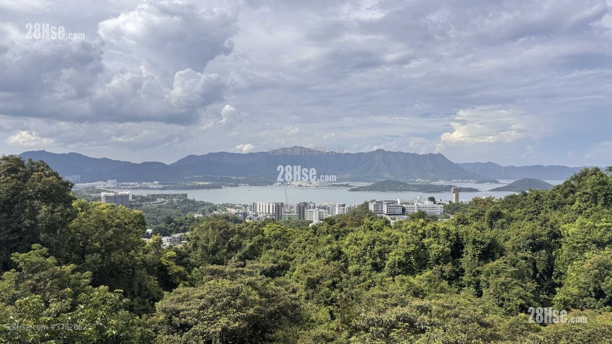 澐沣 售盘 4 房 1,614 平方尺