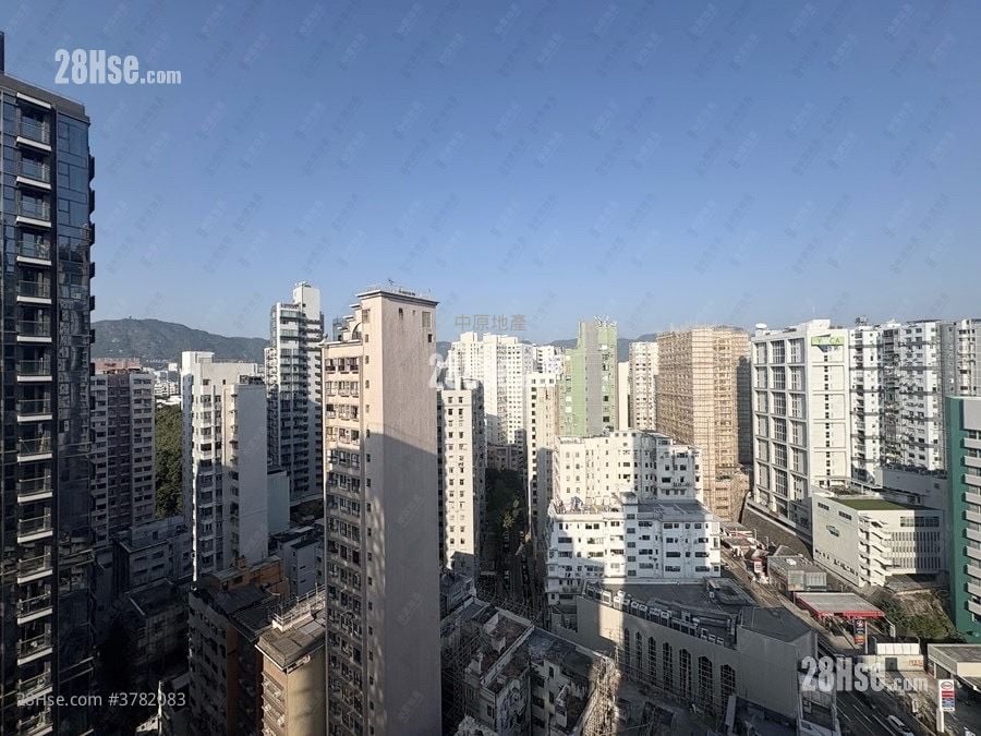 胜利道一号 售盘 2 房 , 1 浴室 455 平方尺