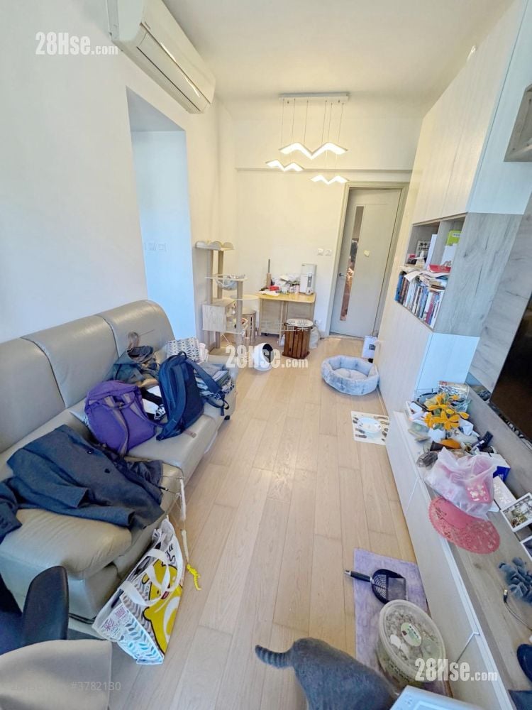 NAPA 售盘 2 房 , 1 浴室 512 平方尺