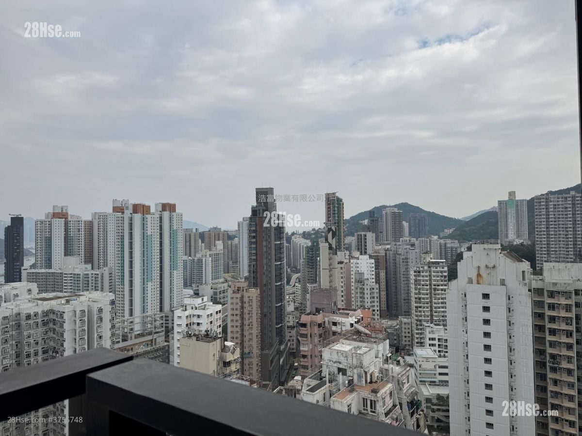 柏汇 售盘 开放式间隔 , 1 浴室 209 平方尺