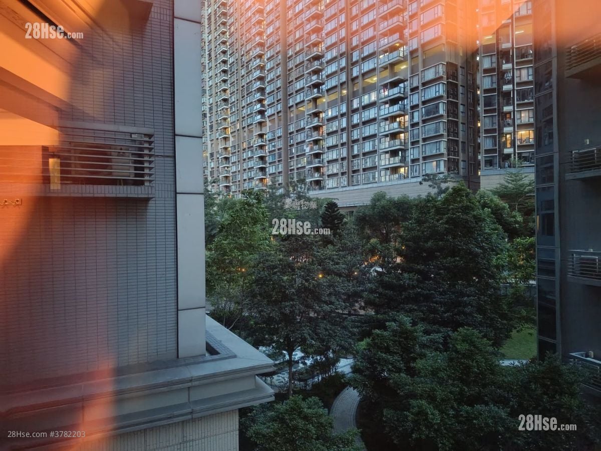 Century Link Rental 1 Bedroom , 1 Bathroom 377 ft²