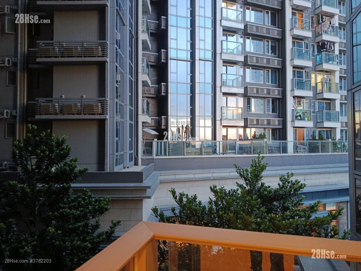 Century Link Rental 1 Bedroom , 1 Bathroom 377 ft²