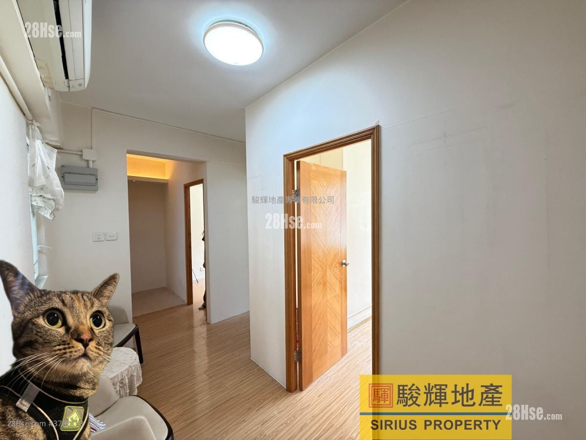 Hang Wan Building Rental 2 Bedrooms , 1 Bathroom 322 ft²
