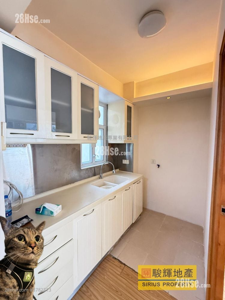 Hang Wan Building Rental 2 Bedrooms , 1 Bathroom 322 ft²