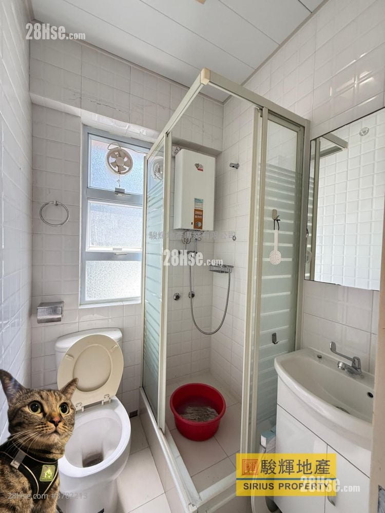 Hang Wan Building Rental 2 Bedrooms , 1 Bathroom 322 ft²