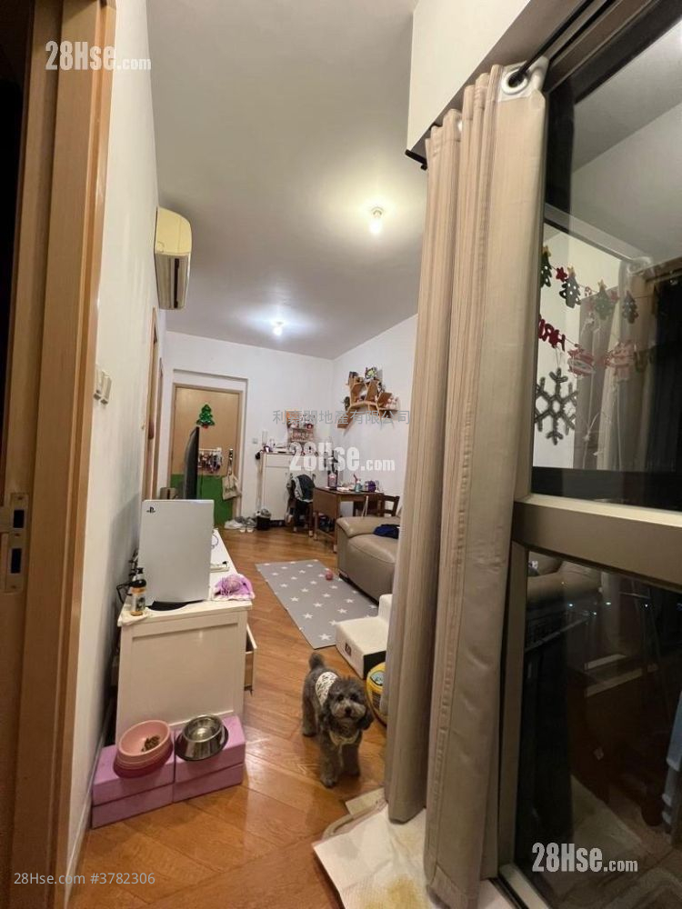 原筑 售盘 2 房 , 1 浴室 480 平方尺