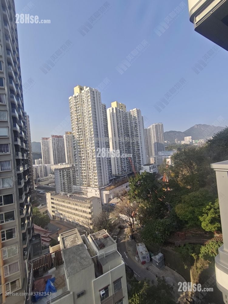 晓柏峰 售盘 1 房 , 1 浴室 305 平方尺