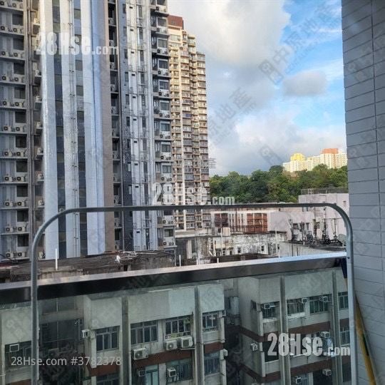 青荟 售盘 1 房 226 平方尺