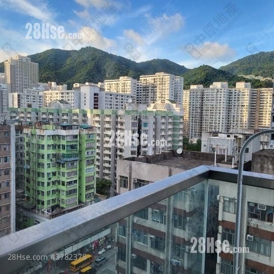 青荟 售盘 1 房 226 平方尺