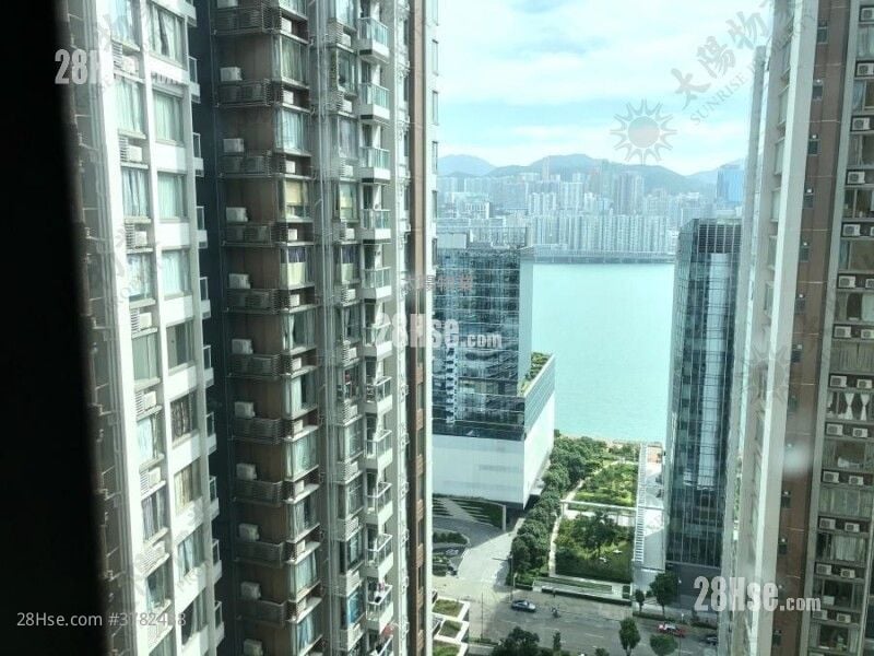 海滨南岸 租盘 2 房 430 平方尺