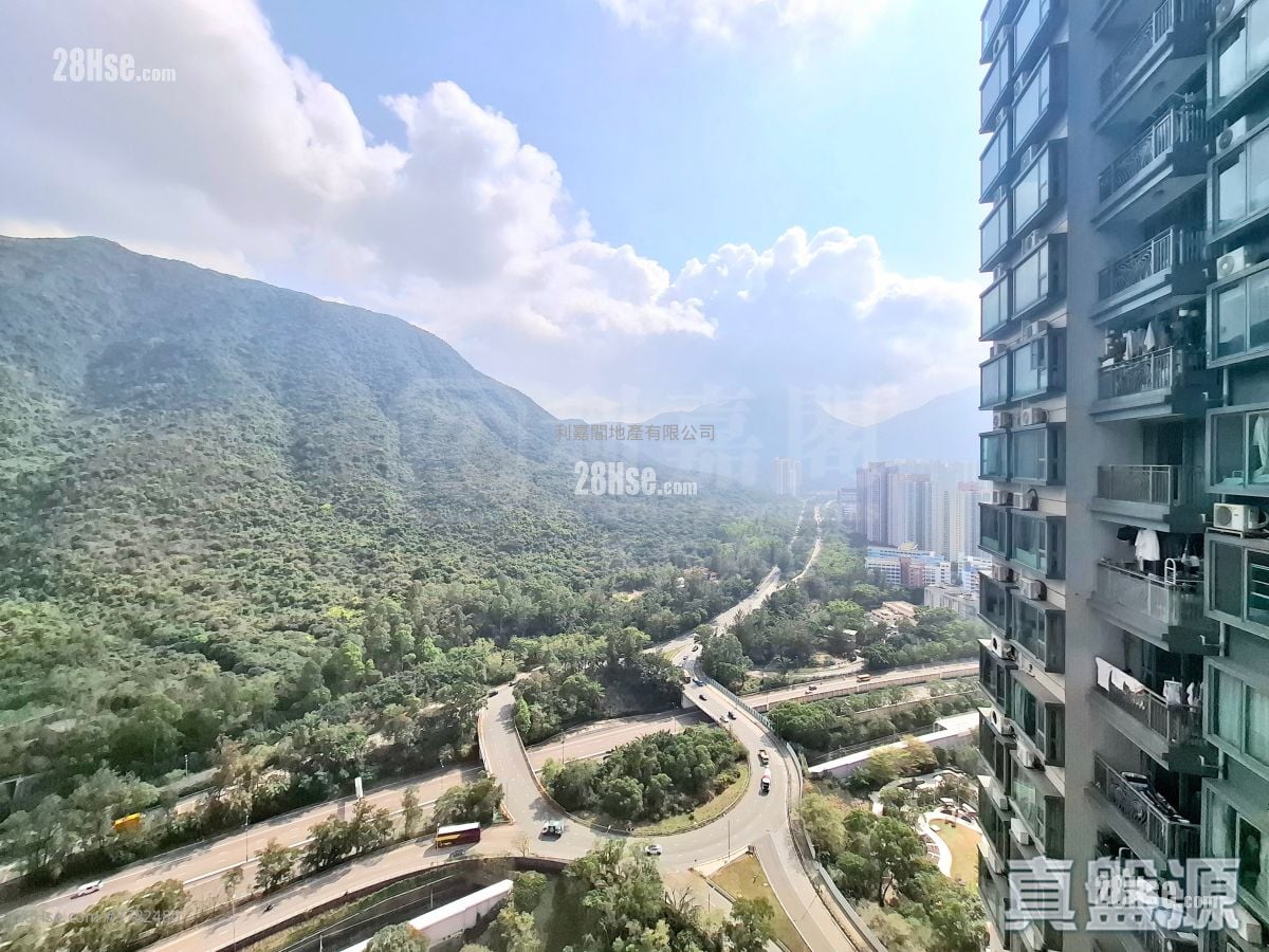 Caribbean Coast Rental 565 ft²