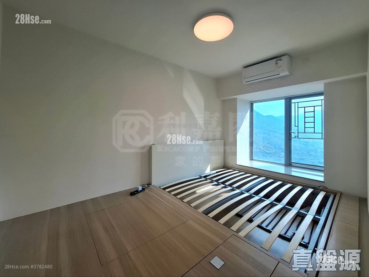 Caribbean Coast Rental 565 ft²