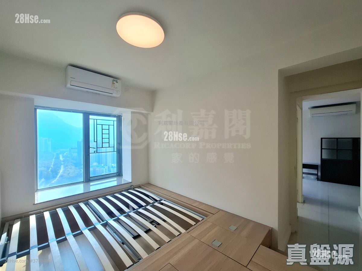 Caribbean Coast Rental 565 ft²