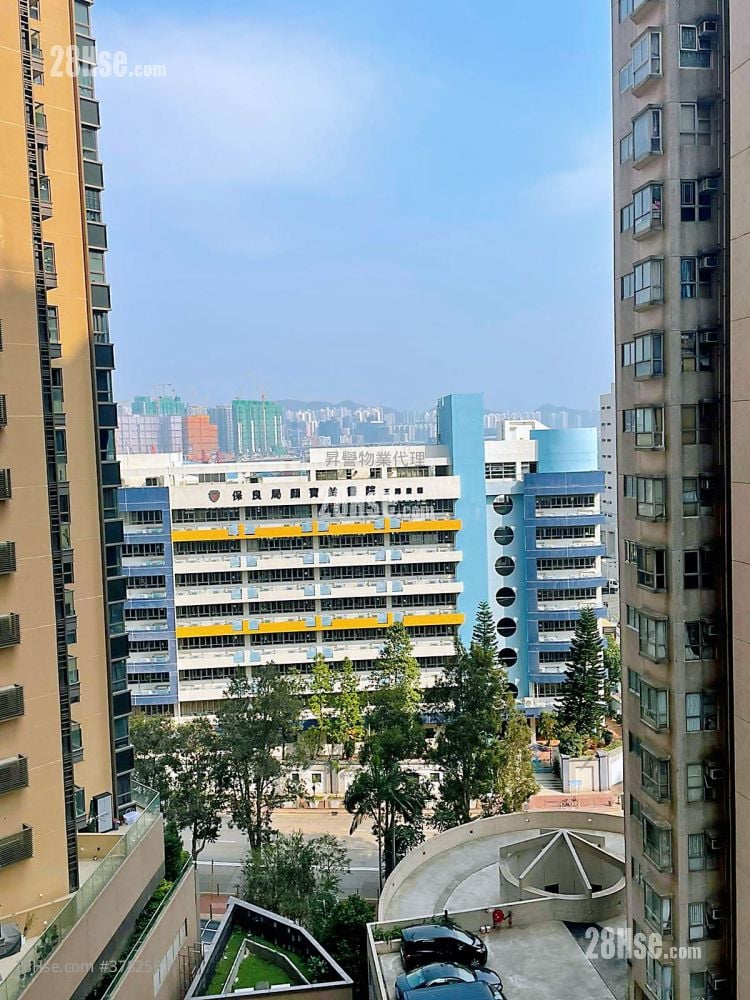 环海东岸 售盘 开放式间隔 , 1 浴室 229 平方尺