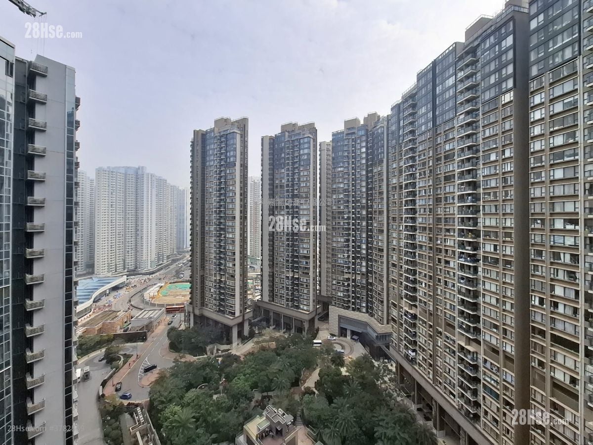 东环 租盘 379 平方尺